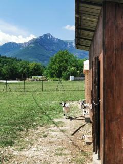 Antica Dimora - GLAMPING FIORDALISO - Sarnano - 1