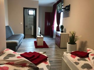 Wellion - Covasna - 6