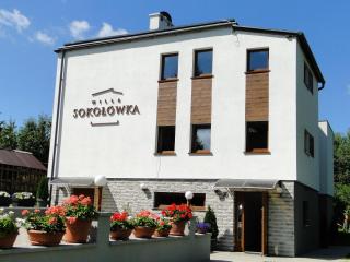 Willa Sokołówka - Polanica-Zdrój - 0