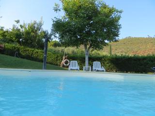 Oliveto di Teodora - 6
