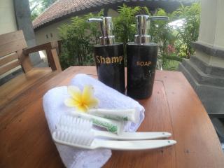 Rumah Sidemen - Sidemen - 1