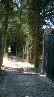 villetta tranquilla - San Vito dei Normanni - 0