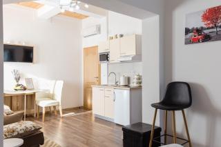 Studio Apartments Eagle - Rakovica - 7