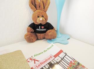 Appart'AZUR Haguenau - Centre Grand'Rue - Logements entiers pour voyageur pro - Haguenau - 7