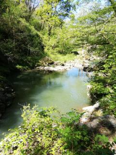 Domaine Abartiague - Ossès - 4