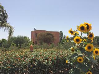 Riad Hamdani - Casablanca - 9