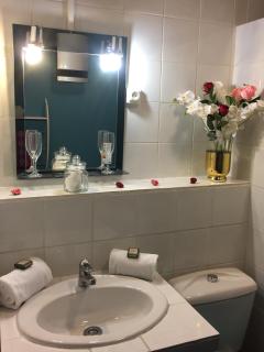 Hotel Du Lac - Château-Arnoux-Saint-Auban - 3