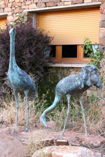 Allucant - Gallocanta - Gallocanta - 7