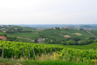 I Grappoli - Canelli - 9
