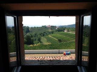 Agriturismo Casa delle Rose Winery - Ruttàrs - 6