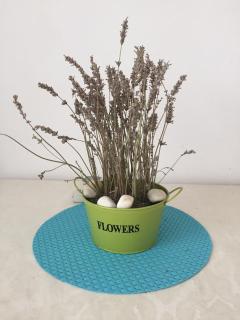 Apartment Oaza - 150m from the sea - 1