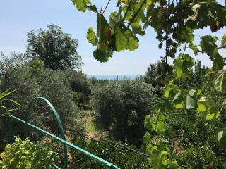 Arancetodamare_POSEIDONE - Trebisacce - 9