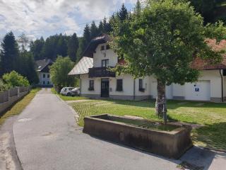 Apartman Irvin - Kranjska Gora - 1