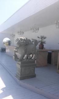 Sophia Residence - Mamaia - 9