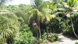 Les Hauts de Terrasson - Les Abymes - 3