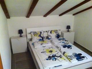 Delfin - Novigrad - 6