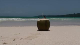 La Casa Del Arbol - Las Galeras - 4