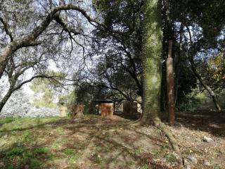 La Caballeriza - La Granja - 7
