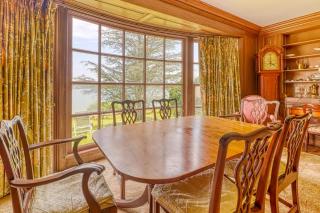 Lily Hill - 5