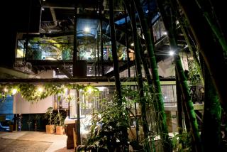 Carriqui Underground - 9