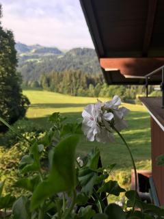 Hof Oberhaus - 4