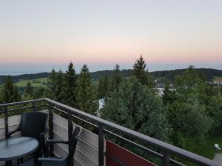 Ferienwohnung Bergpanorama mit Pool - Sankt Englmar - 8