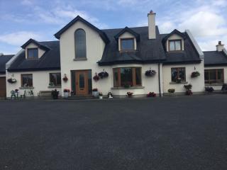 The Crossroads B&B - New Ross - 4
