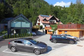 Vila Edelweiss Rooms&App Kranjska Gora - Kranjska Gora - 4