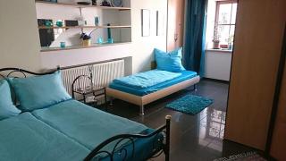 Große Ferienwohnung auf dem Pferdehof Nähe Bamberg, Coburg, Schweinfurt - Burgpreppach - 1