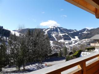 Aulp de Suz 2 - Chalet avec vue - La Clusaz - 7