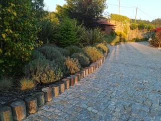 CAMPO DE SOBARBO - Guest House rural - Penafiel - 1