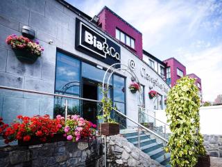 Claregalway Hotel - Baile Chláir (Claregalway) - 2