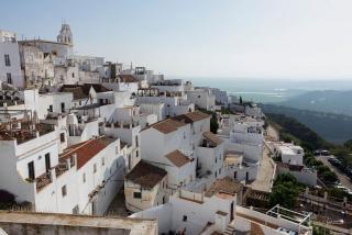 Las Palmeras del Califa - Vejer de la Frontera - 9