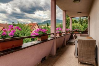 B&B Relais du Vigneron - Jean-Luc et Bruno Meyer - Eguisheim - 7