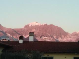 Merlo d'Oro - Carrara - 6