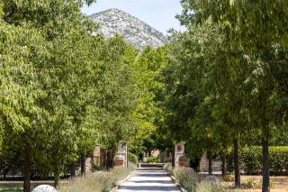 Hôtel - Restaurant & Spa La Magdeleine - Mathias Dandine - 1