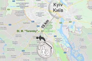 Eco-House PERI with a pool and in the garden near Kyiv - Khotov - 8