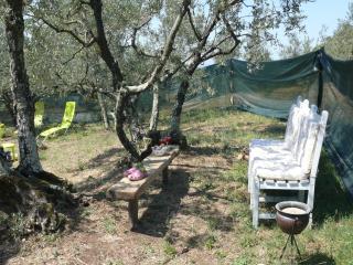 Antica Bottega di Vinci - 5