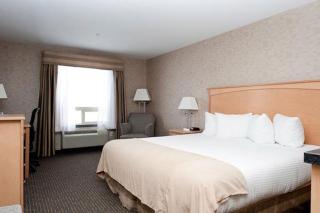 Paradise Inn and Suites - Valleyview - 3
