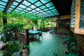 Rui Li Yinxiang Qu Homestay - Meishan - 6