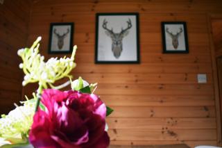 Lodge at Loch Lomond - Glasgow - 1