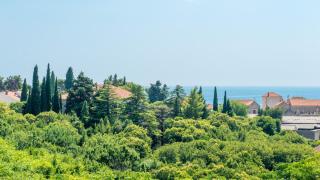 Comfort Apartment Ani - Dubrovnik - 8