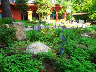 Hospedium Hostal Almanzor - 2