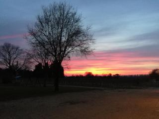 Agriturismo Le Giarine - 8