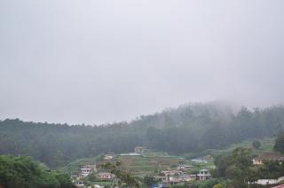 Yensfield Blackpool - Nuwara Eliya - 4