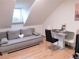 MyHome Basel 3A46 - Saint-Louis - 8