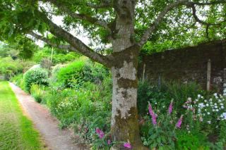 Willowhill House - Minane Bridge - 6