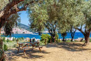 Olive Grove Apartment - Skopelos Town - 0