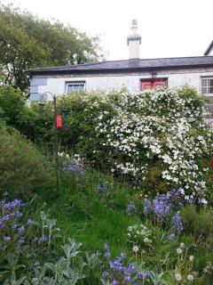 Gormanstown House Apt, The Island - Tullamore - 8