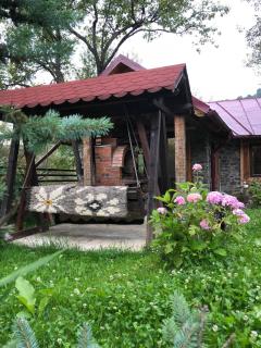 Casa Livada cu Meri - Vişeu de Jos - 9